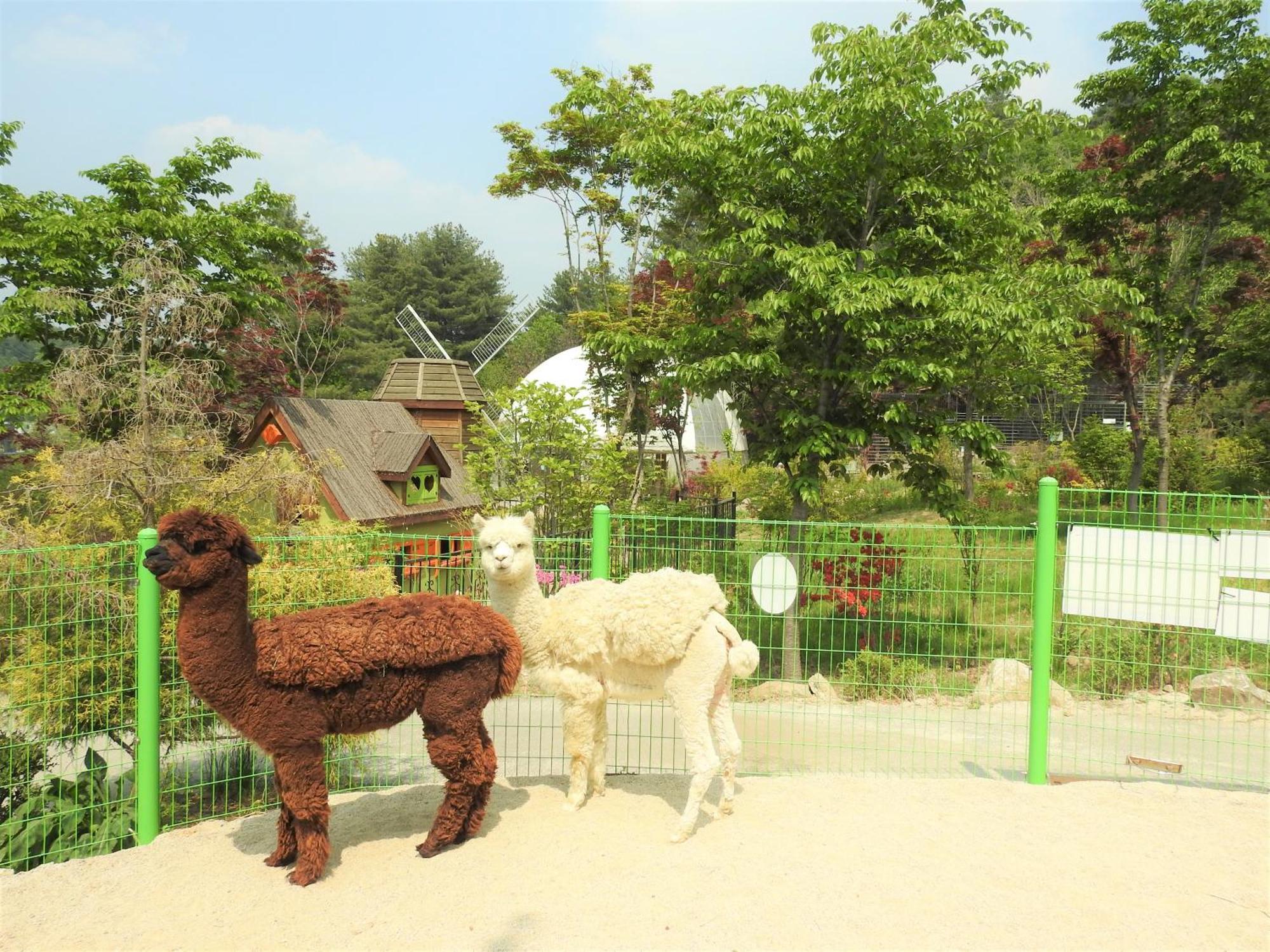 Kensington Resort Gapyeong Eksteriør billede